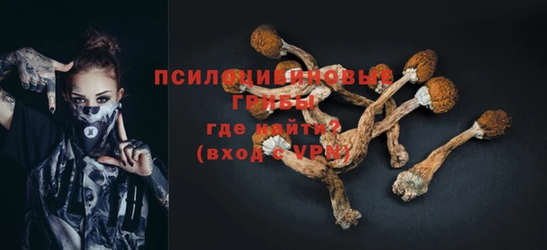 тгк Абаза