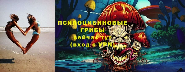тгк Абаза