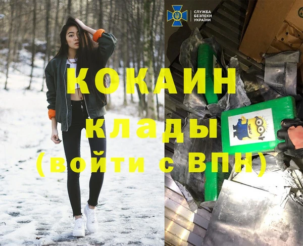 тгк Абаза