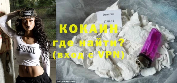 тгк Абаза