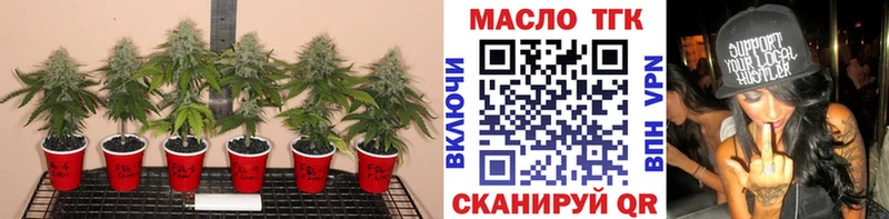 ТГК THC oil  где купить наркоту  Стерлитамак 